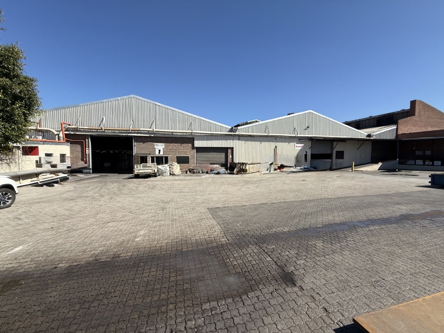 To Let commercial Property for Rent in Triangle Farm Western Cape
